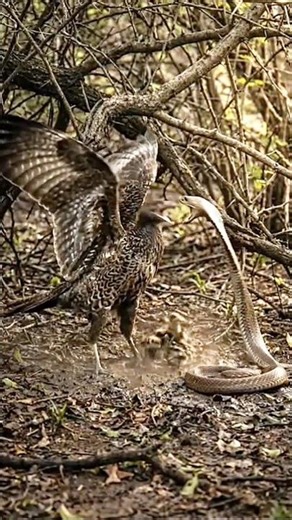 Owl Saved The Chicks From Snake #ai#rescue#shorts