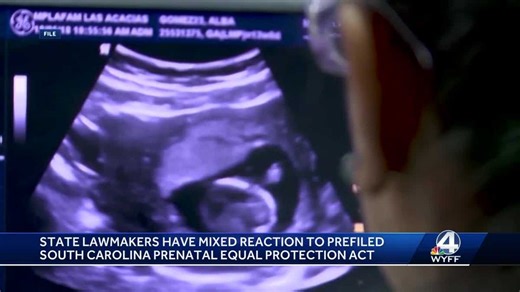 SC women would be charged with murder in proposed anti-abortion bill