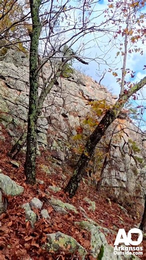 28 reactions | About halfway up the East Summit Trail at Pinnacle Mountain State Park near Little Rock, AR. | Arkansas Outside | Facebook