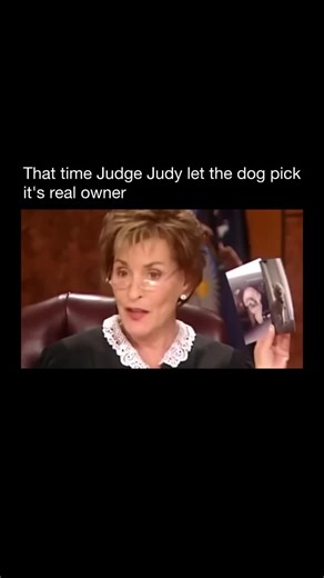 Purely History | In a well-known courtroom moment, a small dog was brought in as two people argued over who it belonged to. The judge didn’t rely on... | Instagram