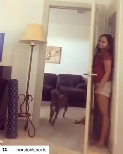 53K views · 601 reactions | Holy shit, this is funny! Hey @jessimaepeluso tell me how many times you watched this in a row. | Josh Wolf | Facebook