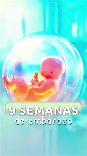 Desarrollo del bebé a las 9 semanas de gestación