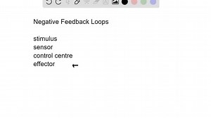Identify the four components of a negative feedback loop and explain what would happen if secretion of a body chemical controlled by a negative feedback system became too great. | Numerade