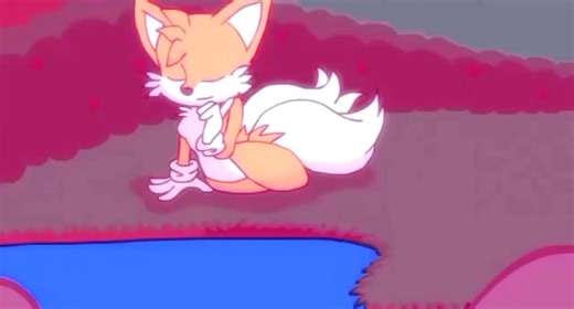 Sonic and Tails Adventures in the Sonic Fandom