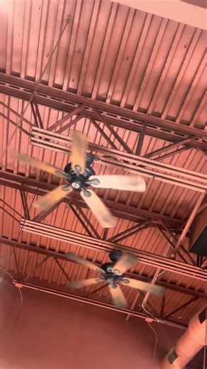 Four Hampton Bay Quick Connect ceiling fans running on high, with some bad capacitors