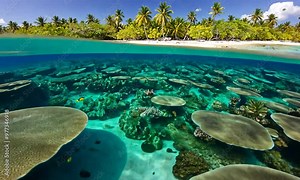 Vibrant Coral Atoll with Marine Life in Shallow Turquoise Waters: Showcasing Marine Conservation and Biodiversity