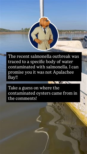 The recent salmonella outbreak was traced to a specific body of water contaminated with salmonella. I can promise you it was not Apalachee Bay — it came from a highly dense, heavily populated area with known pollution issues. This is why it’s important to know your oyster farmer and your delivery person 😉 transparency, clean waters, and trust matter. | Forgotten Bay Oysters