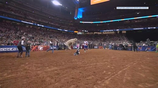 You've seen mutton bustin', but have you ever seen a mutton bustin' ride like this one?