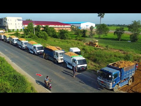 Landfill Process Today Dump Truck Filling & Dozer leveling the area perfect!!