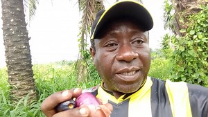 Prostate : Comment Soigner Définitivement L'inflammation De La Prostate ? Comment protéger Sa Prostate, Regardez Cette Vidéo Jusqu'à La Fin Afin De Bénéficier Des Bienfaits Des Produits Naturels. | Traitement aux plantes naturelles