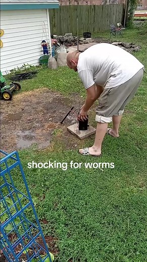 #nightcrawlers #shocking #fishing @IllinoisFishing217 | nightcrawlers