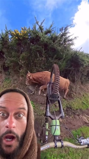 1.4K views | Nick Hansen on Reels | Facebook