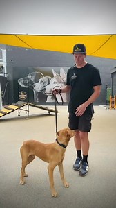 19K views · 289 reactions | Obedience - Consistency is Key The key...