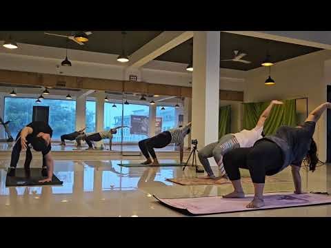 Full Body Stretching Exercises #explore Yoga #yogawithwallsupport #wallyoga