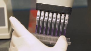 2.2K views · 98 reactions | The preliminary phase III clinical studies of Chinese Sinovac's CoronaVac vaccine in Chile have shown overall safety and immunogenicity against #COVID19, according to the project team. #GLOBALink | China Xinhua News | Facebook