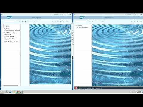 SAP Security Controls: Using Appsian to Apply Dynamic SAP Data Masking | Mask Any Field
