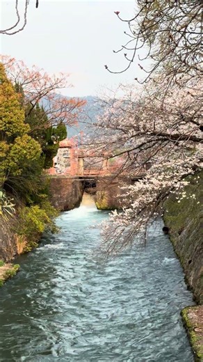 #琵琶湖疏水 #夷川水力発電所 #岡崎公園 #京都