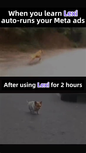 Want to stay one step ahead of the competition? Lexi gives you simple, actionable insights so you can act fast and make data-driven decisions! Try now → | LEXI DEV