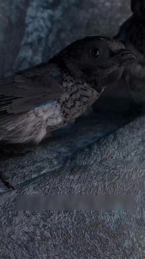 ထပ်ကြည့်ချင်ရင် followသွားကြပုအုံး #creatorsearchinsights #likeandfollow #recapmovieentertainment🎥 #mmsub #Ai