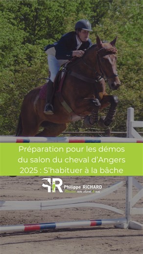 Habituer son cheval à la bâche 🐴 C’est un excellent exercice pour développer sa confiance et sa curiosité 🤝 Travaille des deux côtés — œil gauche 👁️ et œil droit 👁️ — car ton cheval ne perçoit pas les choses de la même façon selon l’angle ! Et surtout, laisse-le explorer à son rythme. S’il renifle, gratte ou marche doucement dessus, c’est parfait 👏 C’est ainsi qu’il apprend à faire confiance. D’autres exercices arrivent très bientôt pour t’aider à renforcer la relation avec ton cheval et à 