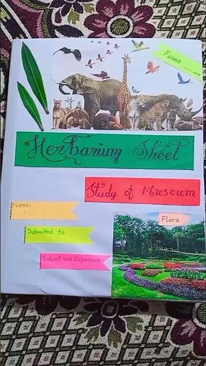 how to make herbarium file #herbarium#youtubeshorts#plantanatomy#herbaria#botany#botanicaleducation