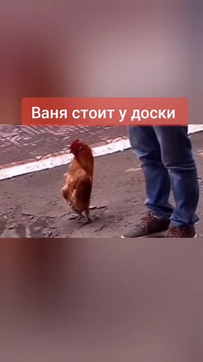 #рекомендации #рек #прикол@diamond_rec_