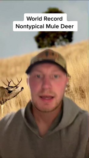 World Record Nontypical Mule Deer - Ed Broder Story