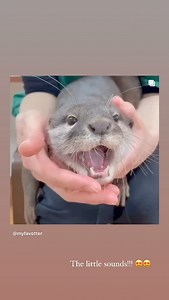 Isabel Leonard on Reels | Facebook