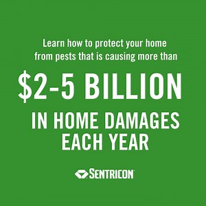 Forgoing this inspection could cost you! Learn how to protect your home from pests that is causing more than $2-5 billion in home damages each year: #pestcontrol #termites #homeinspection https://bit.ly/49Mao6q | The Sentricon System
