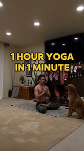 16K views · 340 reactions | With people not wanting to watch more than 10 second reels, it’s hard to portray my actual Yoga practice. Here is my one hour evening flow condensed into 1 minute. Watch till the end to see June. Somehow she has learned to come over the moment I end savasana - she knows not to disturb me until the final Om. Wearing @aloyoga #yoga #yogaflow #yogateacher #vinyasa #yogaclass | Josh Kramer Yoga | Facebook