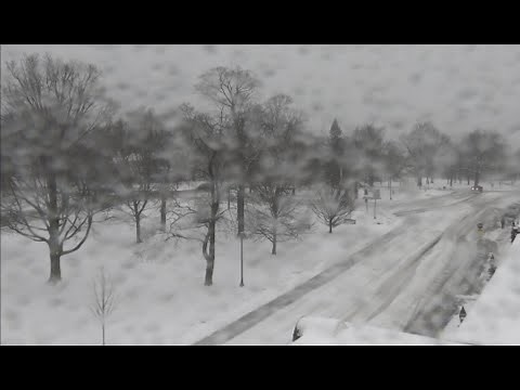 Live weather camera: Litchfield, CT