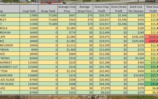 模拟农场22 各类作物收益对比（FS22 Most Profitable Crop - Farming Simulator 22）