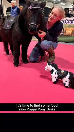 12K views · 408 reactions | Crafty Pony Dinky Pony is looking for some treats! #dinkyponies #craftyponies #yourhorselive | Crafty Ponies | Facebook