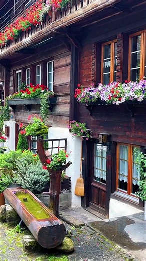 Scenery of switzerland#scenery #nature #landscape #travel #swiss