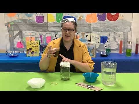 Simple Science: How Do Fish Breathe?