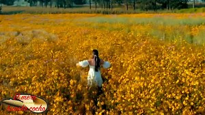 8.8K views · 116 reactions | 핀핟핥핖핣핡핣핖핥핒: Dani Menchaca y su gpo. Diverso ℝ할핝핚핥핒: El mejor regalo | El Mero Huache Cocho | Facebook