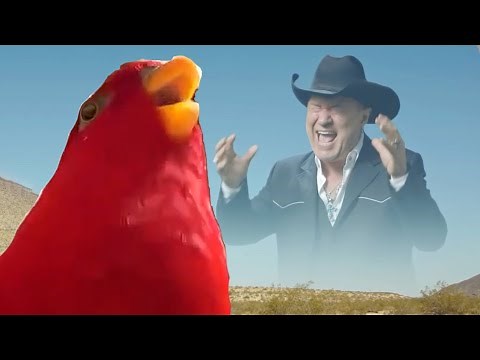 AHHHHH + Red Bird Meme