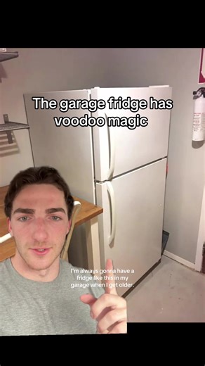 Greatest invention of the 1960s #greenscreen #nostalgia #peak | garage fridge