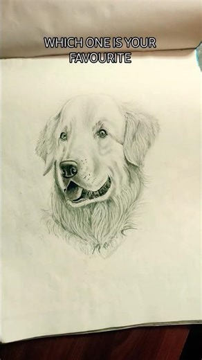 TOP DRAWINGS #top #drawing #art