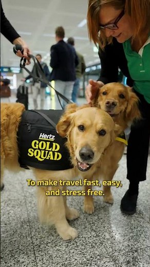 Operation Hertz Gold Squad | First Stop In Europe: Milan Malpensa Airport | Make Travel Feel Golden