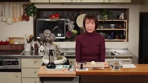 34K views · 800 reactions | Francis is looking a little sleepy today...get it together dog! Follow the adventures of Francis and Chef on their page here--> Cooking with Dog | Tastemade | Facebook