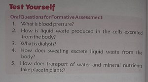 Test Yourself Oral Questions for Formative Assessment What is b... | Filo
