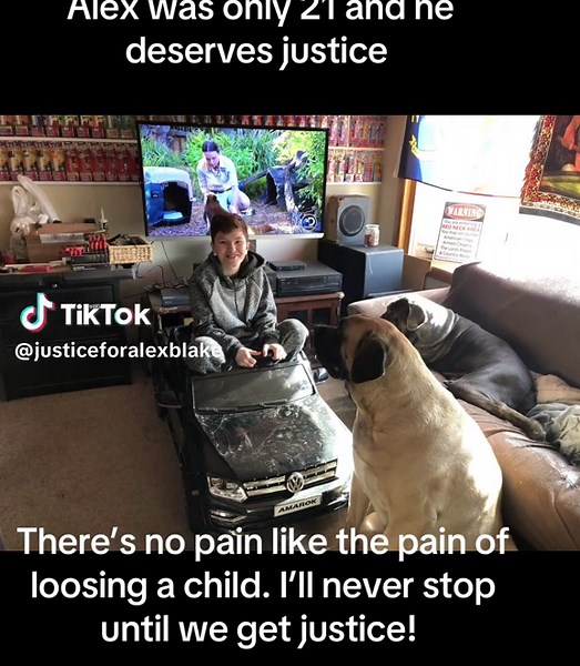 Alex was only 21 when he was taken from us. His family and friends will continue to fight to get him justice no matter what it takes! #justice #alexblakevandalsen #justiceforalexblakevandalsen #truecrime #truecrimestory #truecrimetok