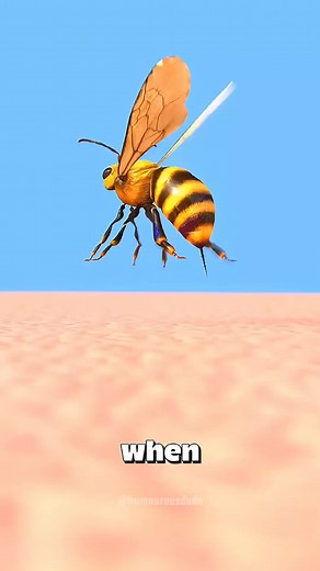 Why Do Honeybees Survive After Stinging? Insights & Facts