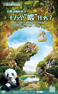 Case Studies - Digital Crew