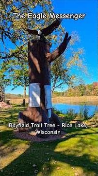 Bayfield Trail Tree & The Eagle Messenger | Rice Lake, Wisconsin | Nature & Heritage Reel #native