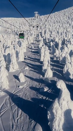 National Geographic Travel on Instagram: "Covered in heavy snow, Yamagata Prefecture, Japan, becomes a winter wonderland during the colder months. While travelers take to the ski slopes and hot springs, "snow monsters" stand tall at the top of Mount Zao, created by Maries’ fir trees as they're pelted with moisture from icy winds. Showcasing a quieter alternative to popular tourist spots, Yamagata Prefecture allows visitors to soak in the beautiful views and tranquil scenery Japan has to offer. W