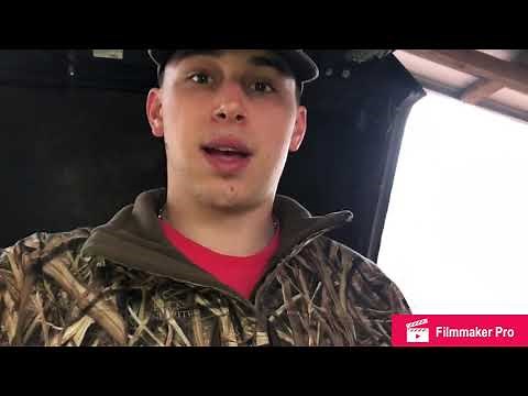 How To Replace Injectors On a 2012 F-150 5.0 Coyote Engine