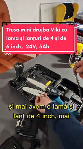 Florin Meșterică pe TikTok