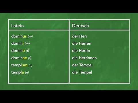 Latein Grammatik: Was ist der Numerus? Was bedeutet Singular und Plural?